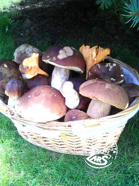 Chata Štôla Chata Štôla k pronájmu, Vysoké a Nízké Tatry