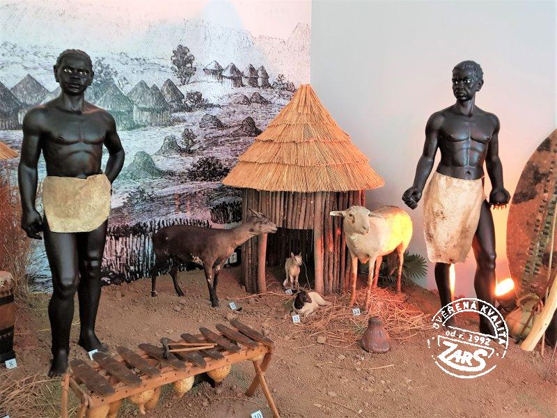 Foto Africké muzeum Dr. Emila Holuba - Holice