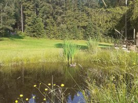 Chalupa V údolí motýlů k pronájmu, Vysočina