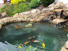 Apartmán(y) Hořičky - pokoj 8 k pronájmu, Broumovsko a Náchodsko