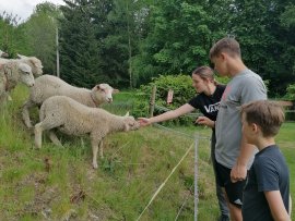 Chalupa Sedloňov k pronájmu, Orlické hory