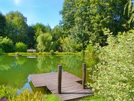 Roubenka Sedloňov k pronájmu, Orlické hory