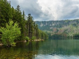 Foto Černé jezero - Šumava