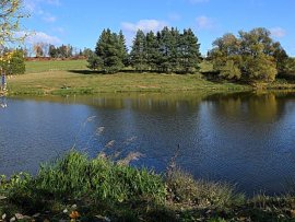 Foto Ruprechtovský rybník