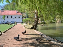 Foto Buchlovice - rybník Smraďavka, hostinec a lázně Leopoldov