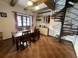 Chalupa Dobřany k pronájmu, Orlické hory