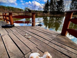  Na vodní hladině k pronájmu, Českobudějovicko a Třeboňsko