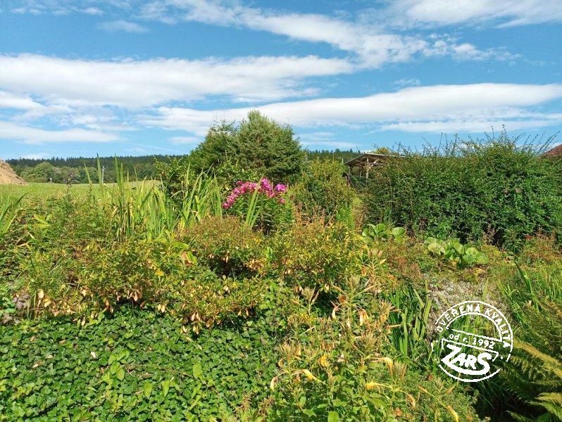 Chalupa Libínské Sedlo Chalupa Libínské Sedlo k pronájmu, Šumava a Lipno