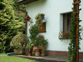 Chalupa U Vrchlabí k pronájmu, Krkonoše