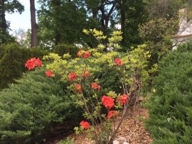 Apartmán(y) U Třeboně B 3lůžkový k pronájmu, Českobudějovicko a Třeboňsko