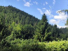 Chata Dolní Bečva k pronájmu, Beskydy a Valašsko