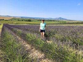 Foto Levandulová farma Starovičky