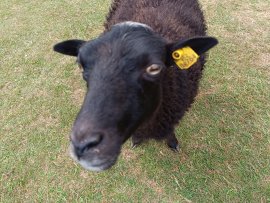 Chata Stromkovice k pronájmu, Krkonoše