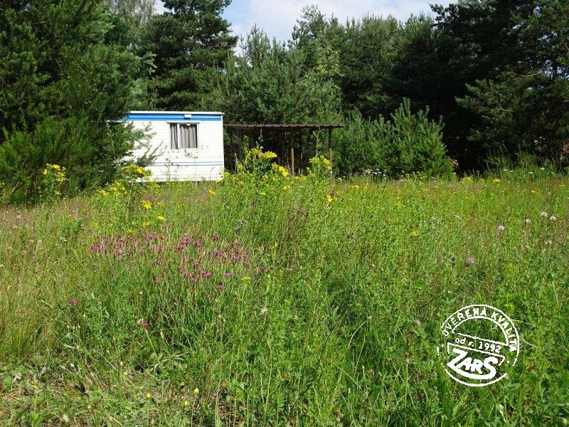 Mobilní domek Vlkov nad Lužnicí Mobilní domek Vlkov nad Lužnicí k pronájmu, Českobudějovicko a Třeboňsko