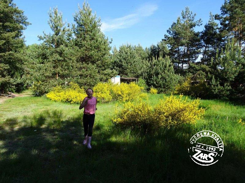 Mobilní domek Vlkov nad Lužnicí Mobilní domek Vlkov nad Lužnicí k pronájmu, Českobudějovicko a Třeboňsko