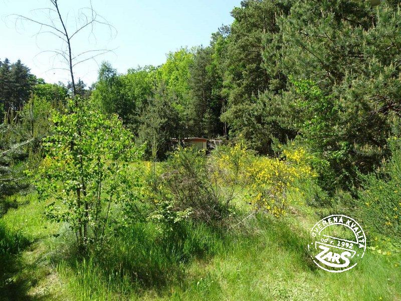 Mobilní domek Vlkov nad Lužnicí Mobilní domek Vlkov nad Lužnicí k pronájmu, Českobudějovicko a Třeboňsko