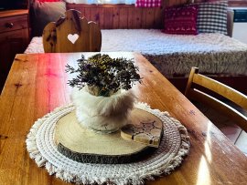 Chata U lesa k pronájmu, Vysočina